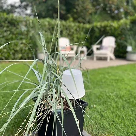 Apartment Moewennest 4 *