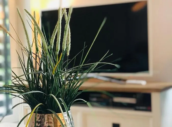 Lägenhet Moewennest 4 Grömitz